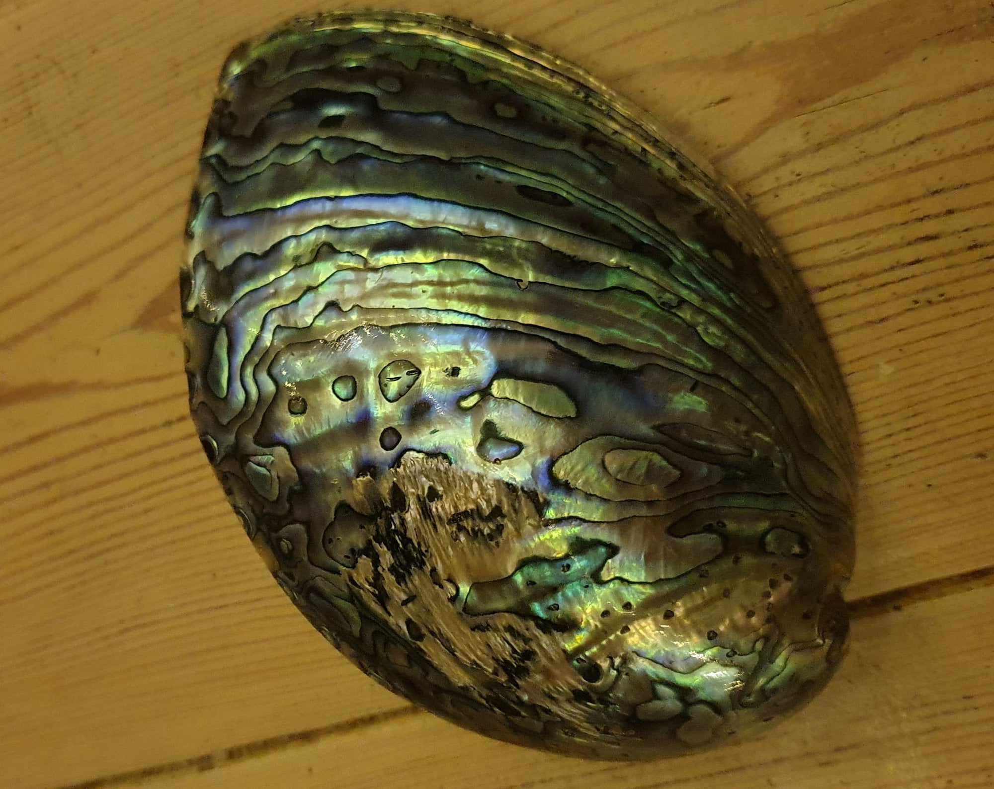 Marri wooden ring set with abalone inlay - Image 3