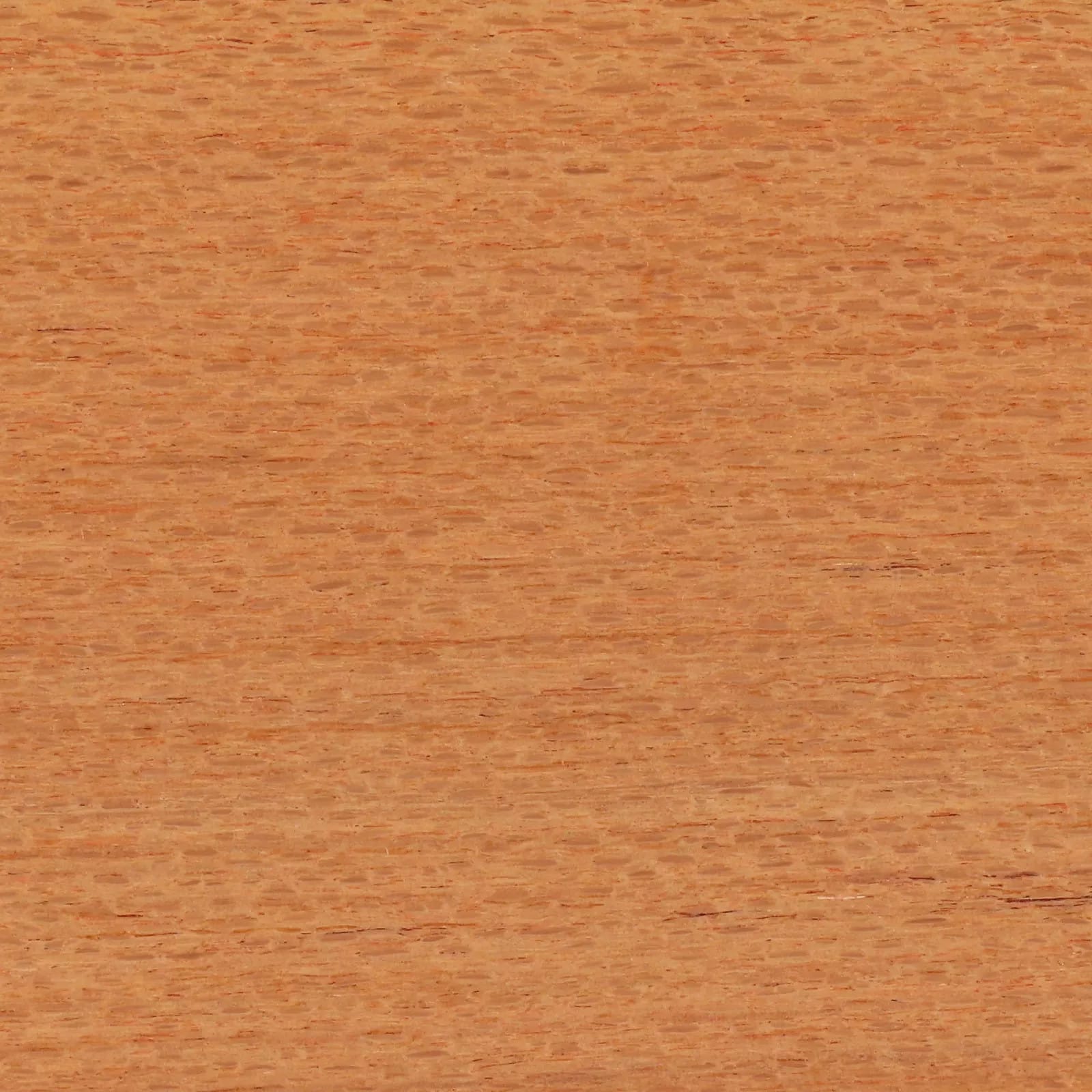 Silky Oak Wood